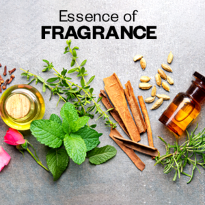 Fragrances Smells & Odors